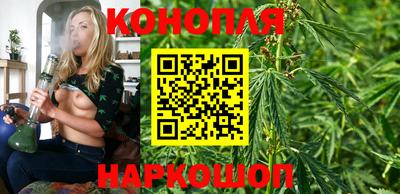 прущие крисы Пугачёв